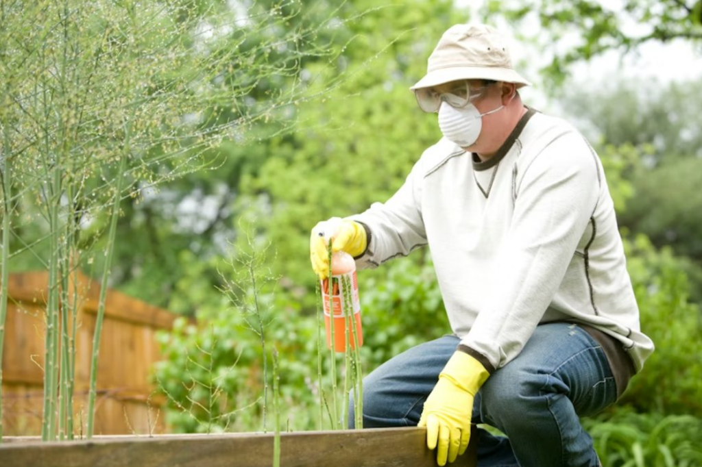 A man in casual work clothes, wearing yellow gloves, sprays a substance onto green vegetation.