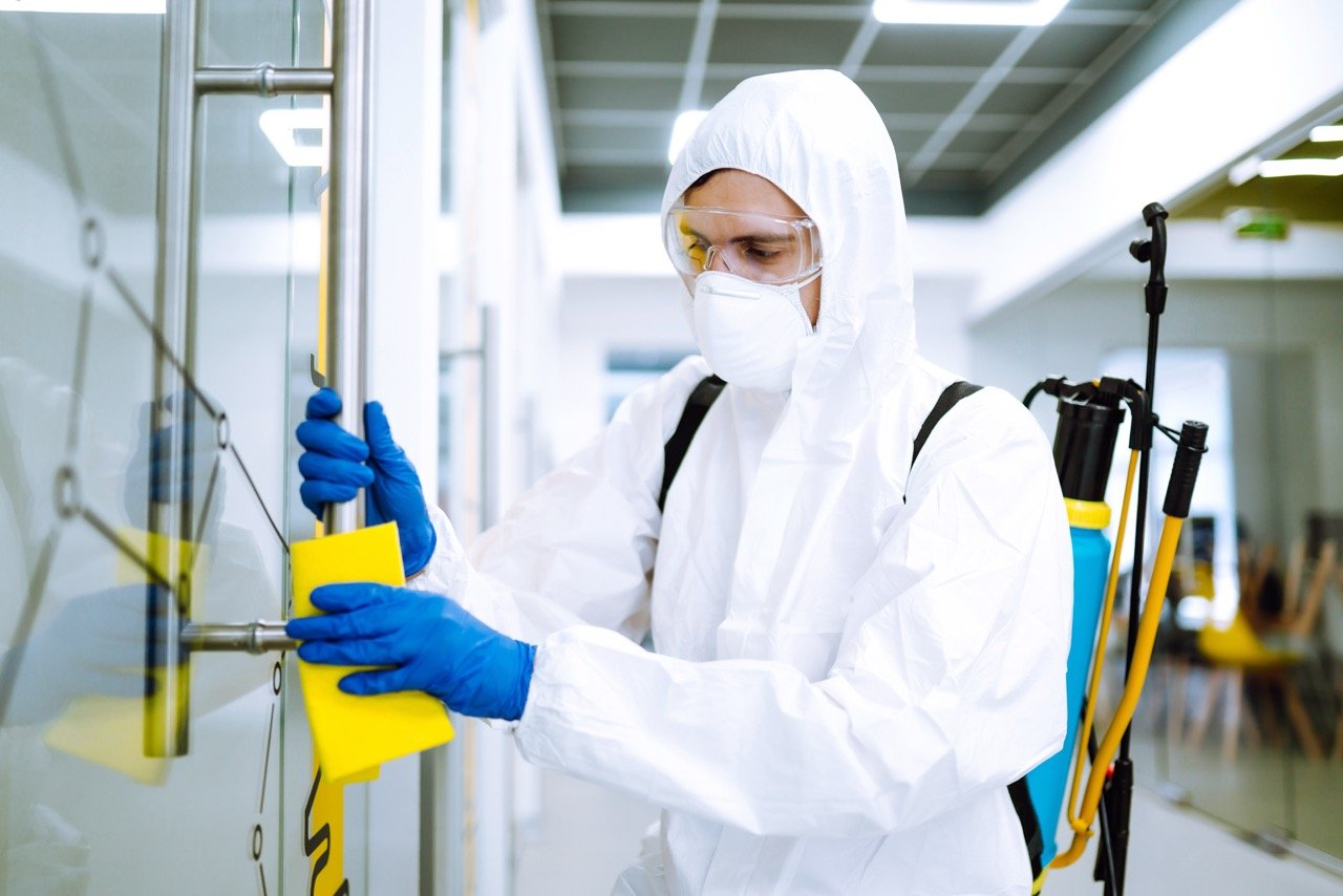 DIY Pest Control vs Professional Pest Control