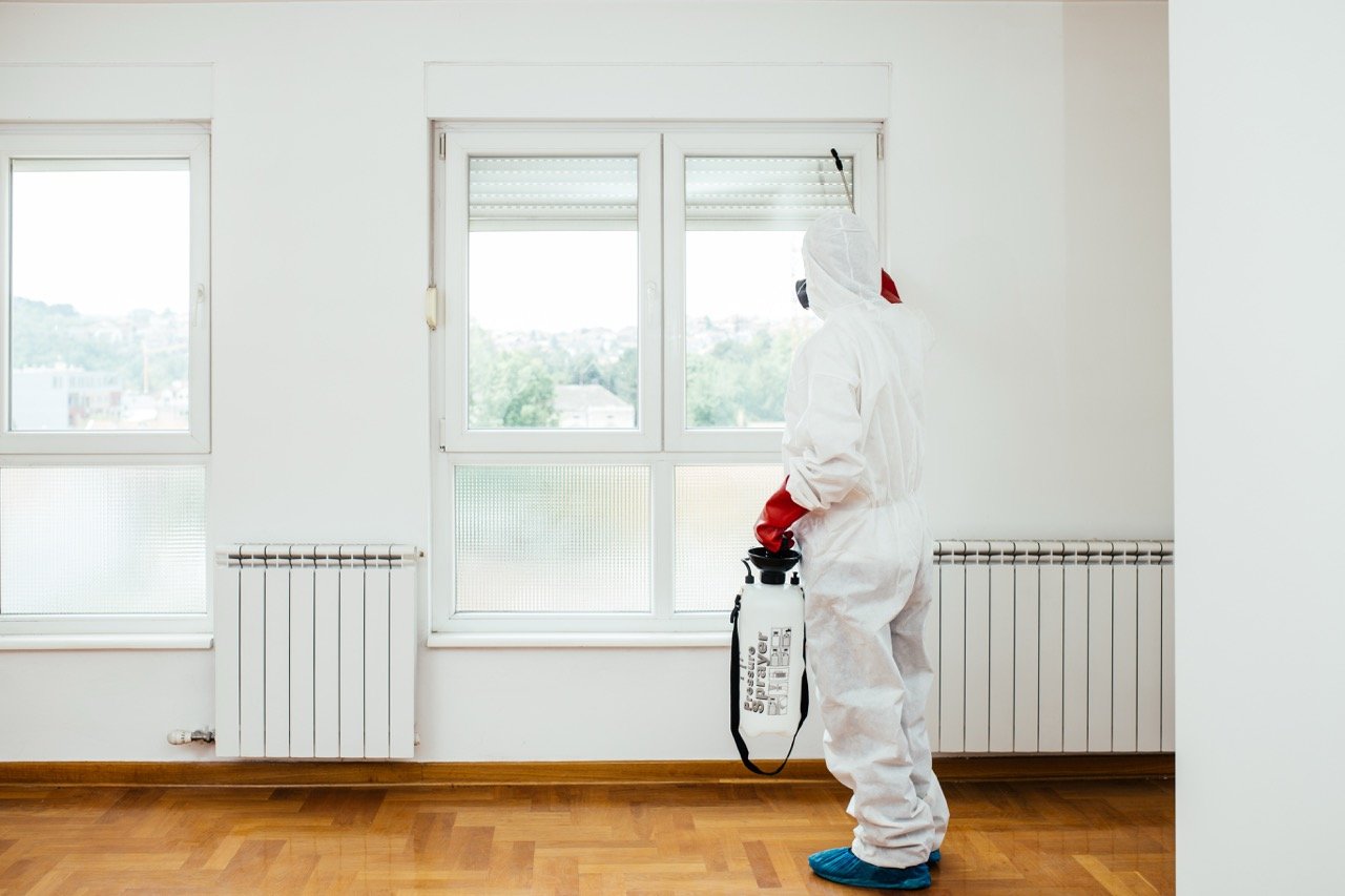 Rainy Season in Florida: Which Pests Should You Watch Out For?