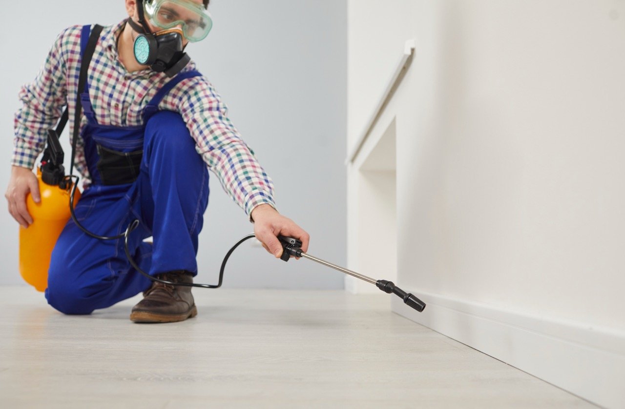 Pest Control Checklist for New Homeowners