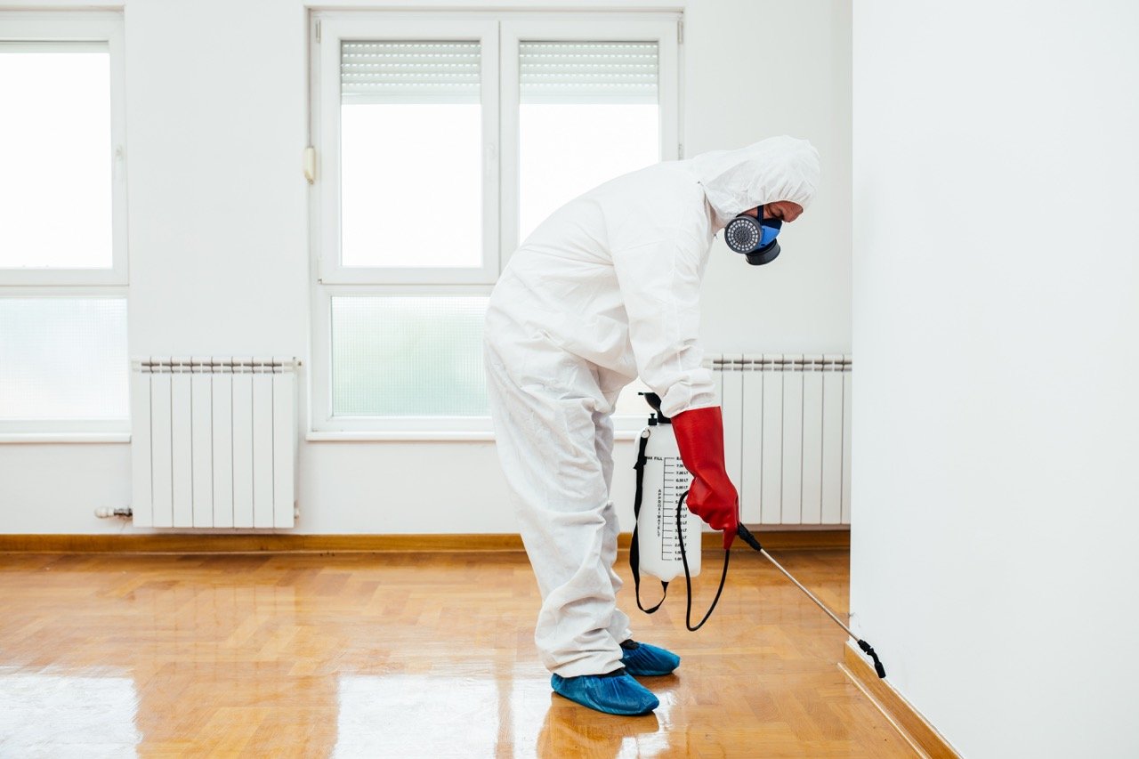 How Much Does Pest Control Cost in Florida?