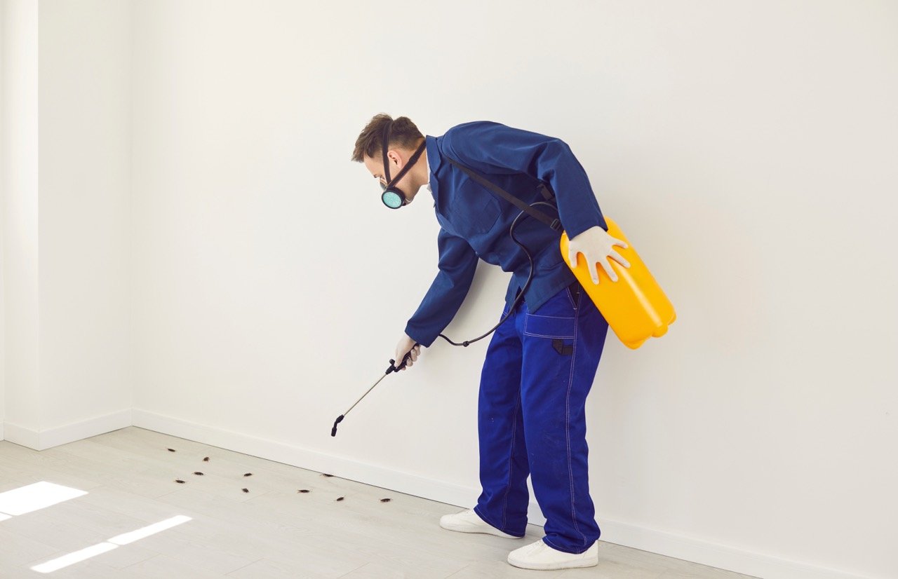 Do You Need Pest Control in Florida During Winter?