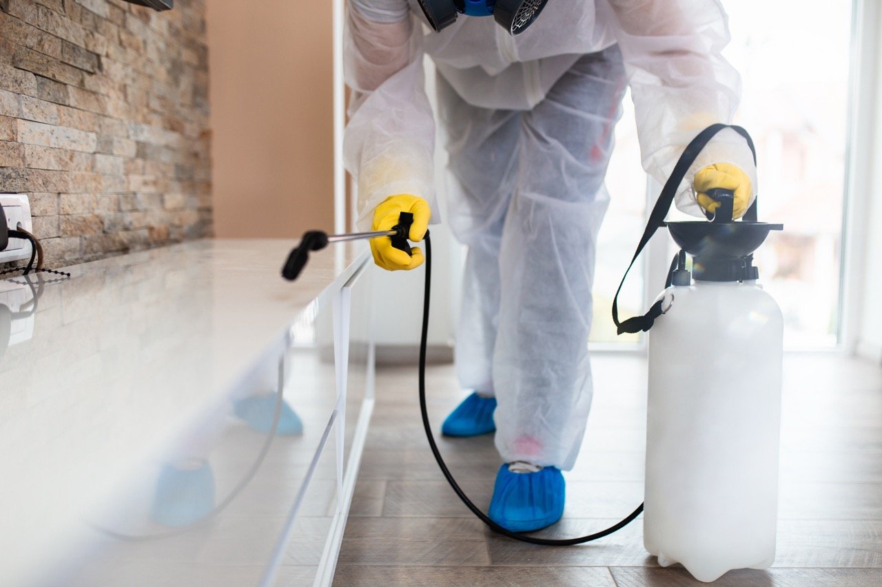Pest Control in Florida