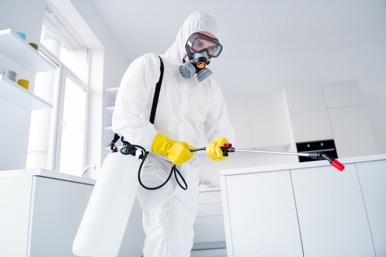 Pest Control in Florida