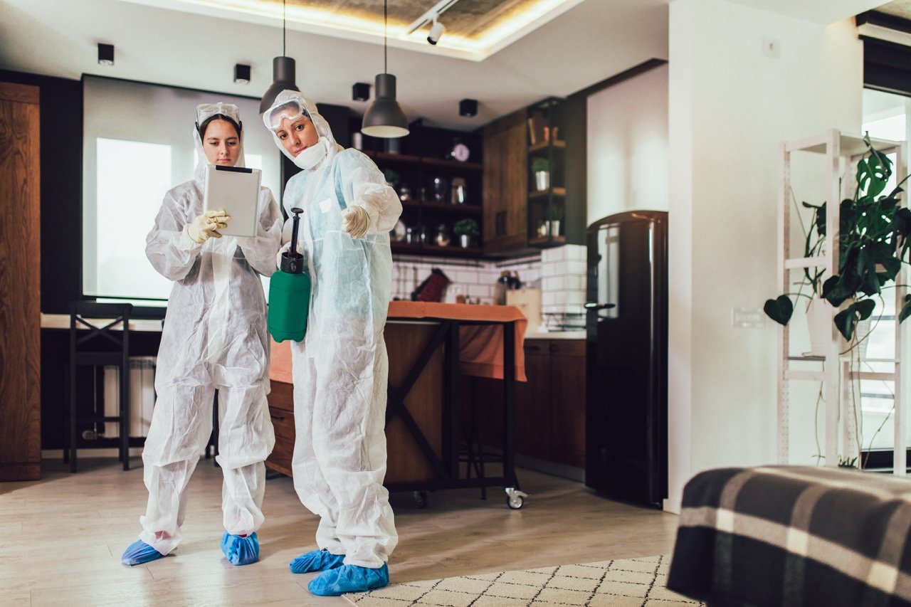 Pest Control Safe for Pets and Children