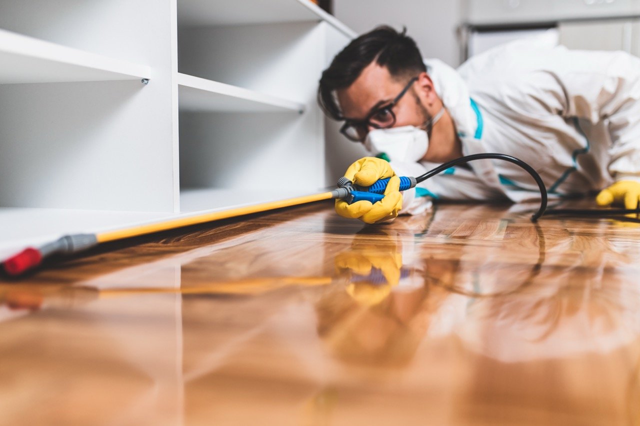 Pest Control Safe for Pets and Children