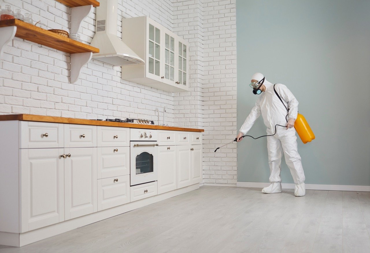 How to Pest-Proof Your Home Before Going on Vacation