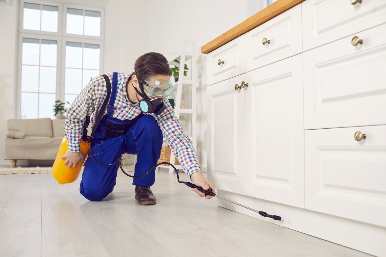 Does Your Landscaping Attract Pests to Your Florida Home?