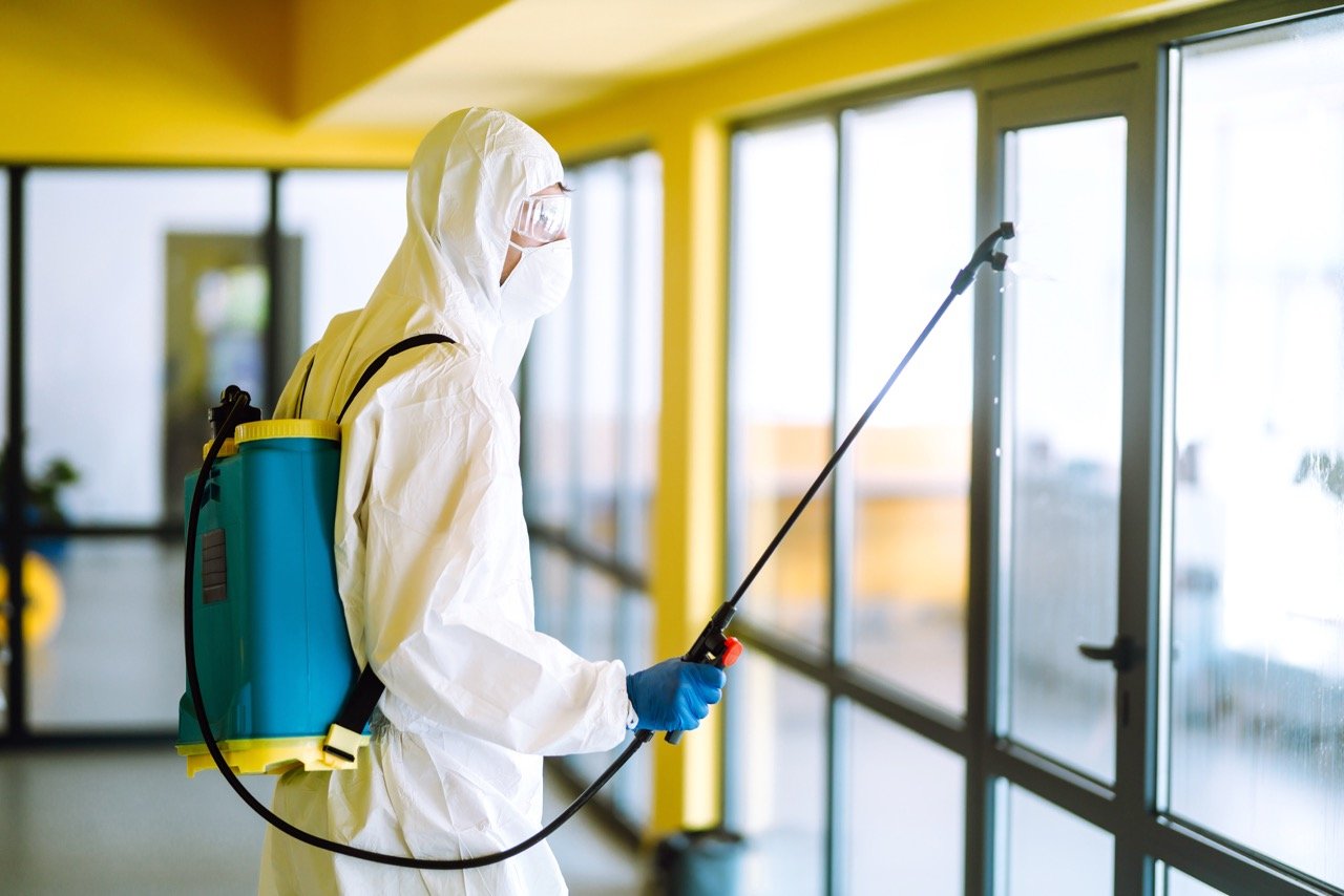 Pest Control Before Moving In: What Should Be Done?