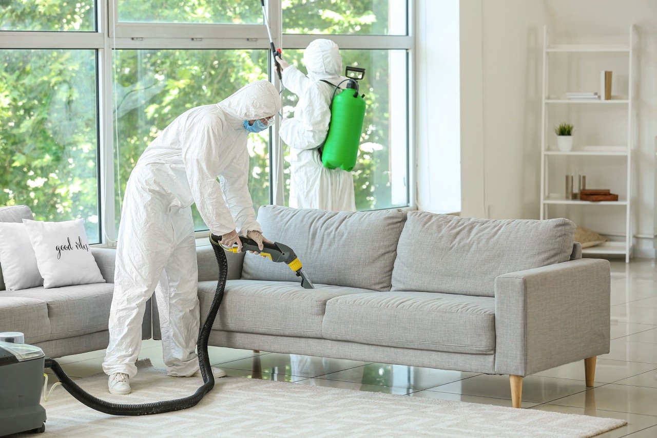 Pest Inspection Before Buying a Home