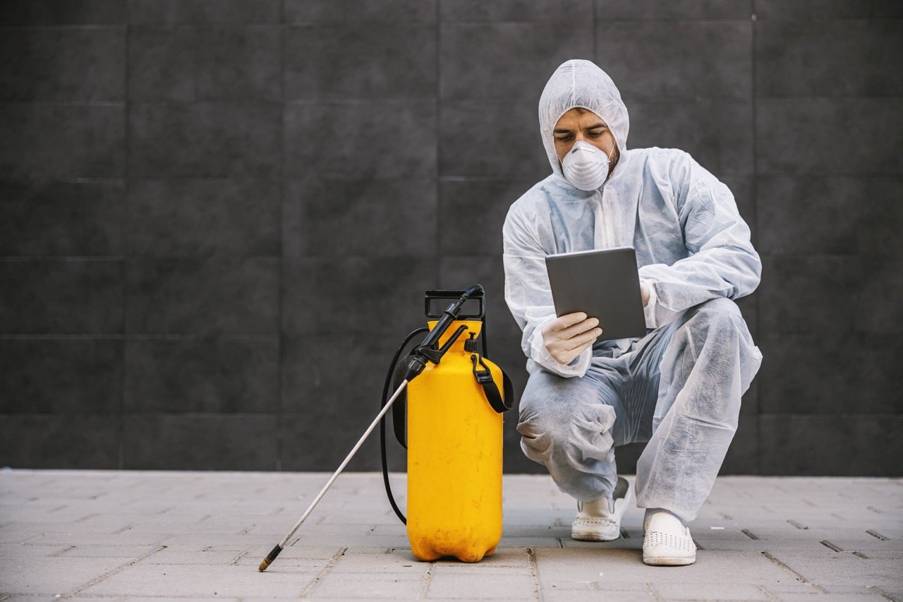 What Is Preventive Pest Control and Is It Worth It?