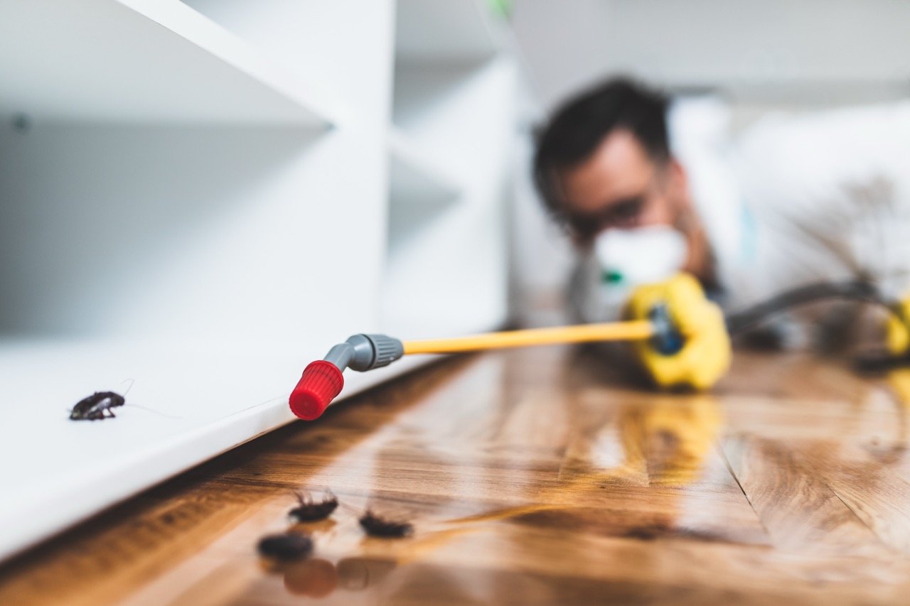 How to Pest-Proof Your Garage: A Florida Homeowner's Guide