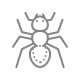 ants.png